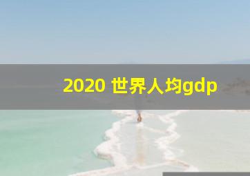 2020 世界人均gdp